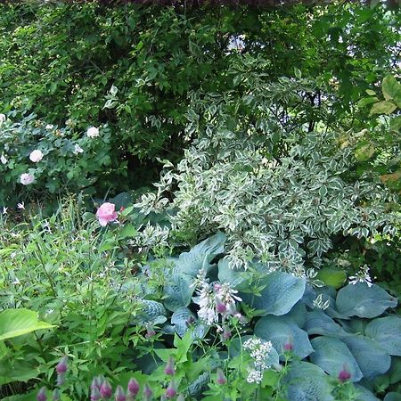 Il Giardino Dell'Artemisia Villa Pila  Dış mekan fotoğraf