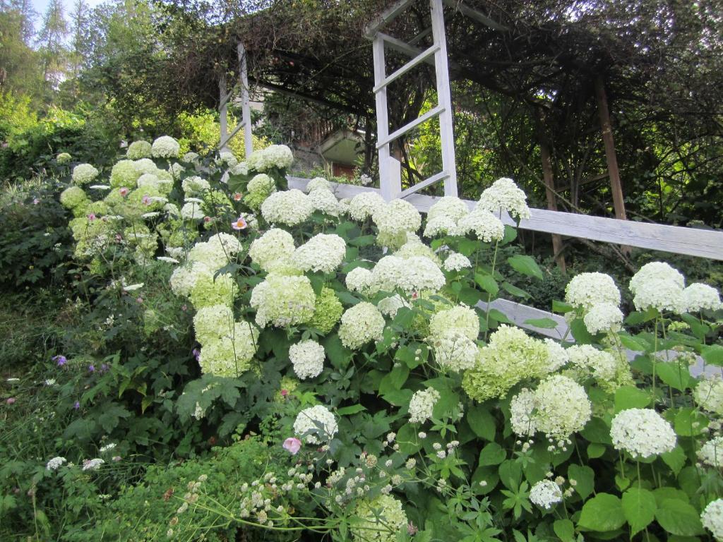 Il Giardino Dell'Artemisia Villa Pila  Dış mekan fotoğraf