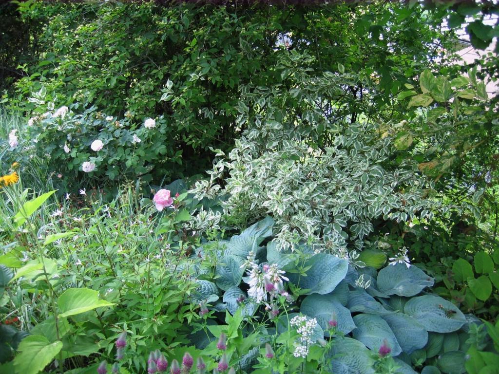 Il Giardino Dell'Artemisia Villa Pila  Dış mekan fotoğraf