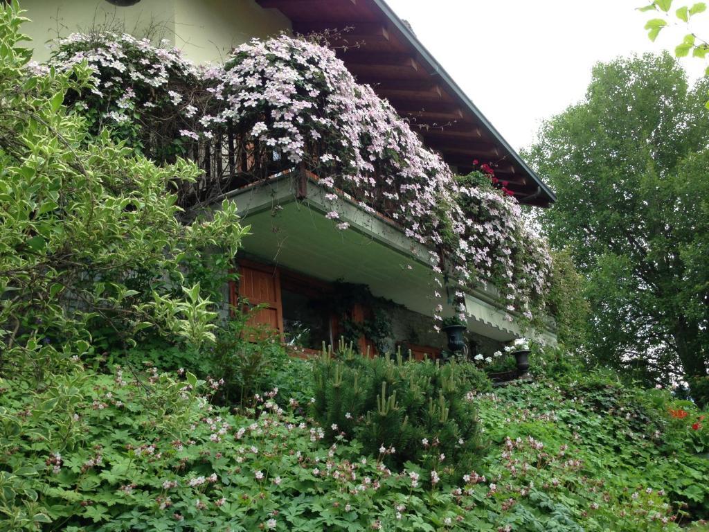 Il Giardino Dell'Artemisia Villa Pila  Dış mekan fotoğraf