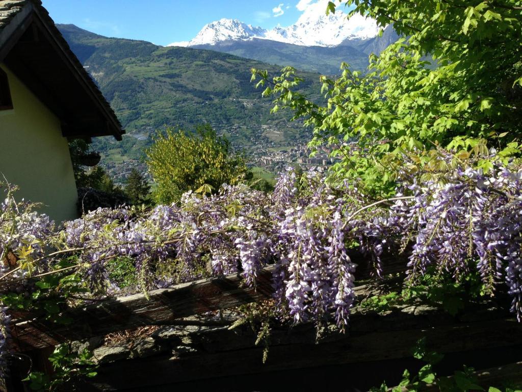 Il Giardino Dell'Artemisia Villa Pila  Dış mekan fotoğraf